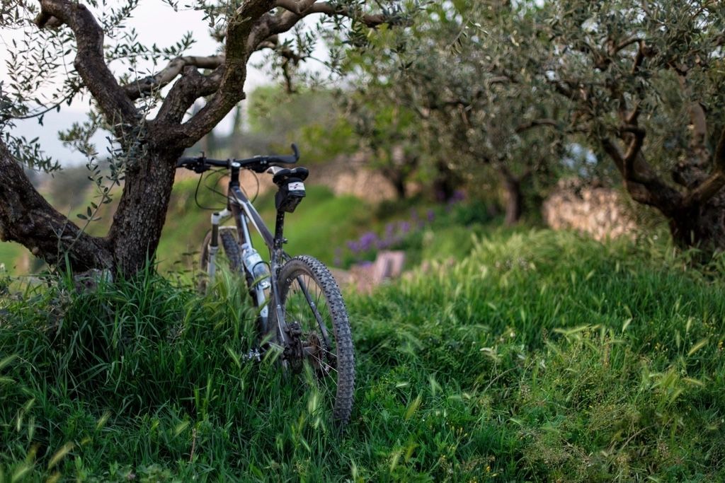 VTT semi-rigide gris posé dans l'herbe au pied d'un arbre